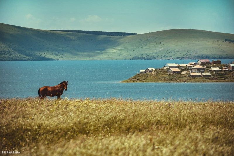 A horse grazing in a golden highland meadow beside a mountain lake