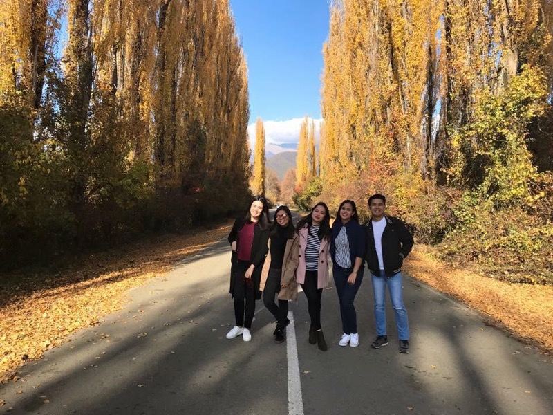 A group walking an autumn tree-lined country road in Kakheti